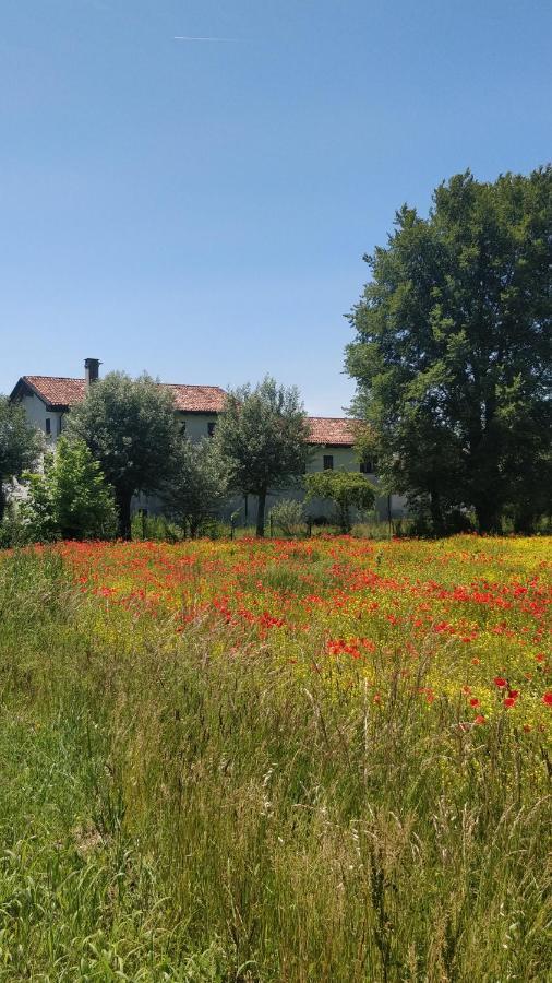 Porte Di Venezia, Tessera Aeroporto Фаваро Венето Экстерьер фото